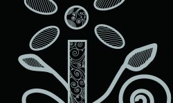 Coming soon♦Japanese culture