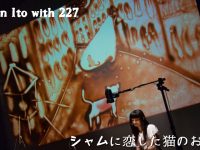 シャムに恋した猫のお話し