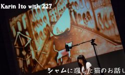 シャムに恋した猫のお話し